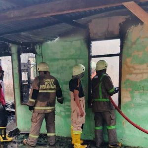 47ba01756807711a895f8bn5c-232990